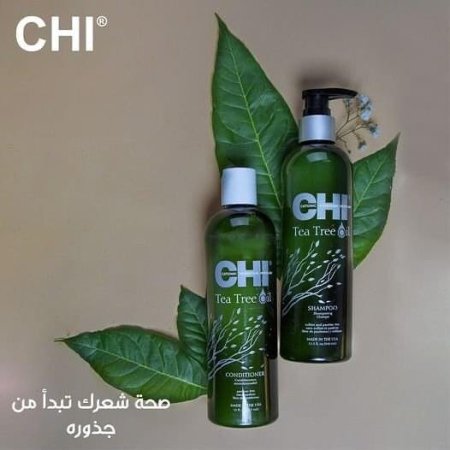 Tea Tree Oil Shampoo & Conditioner CHI علاج للشعر الدهني وللقشرة 